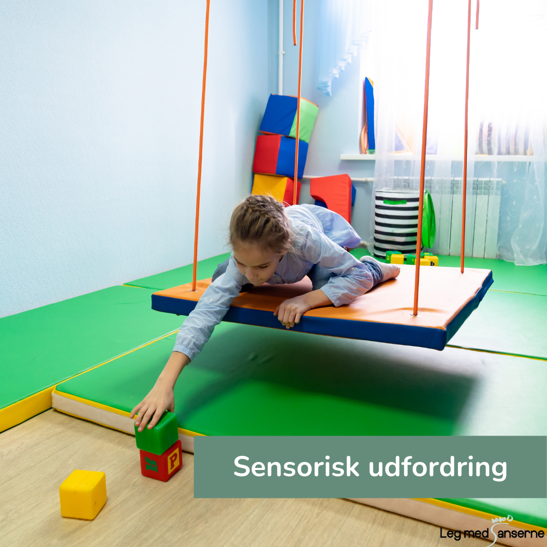 Sensorisk Stol Sensorisk udfordring - Leg med Sanserne